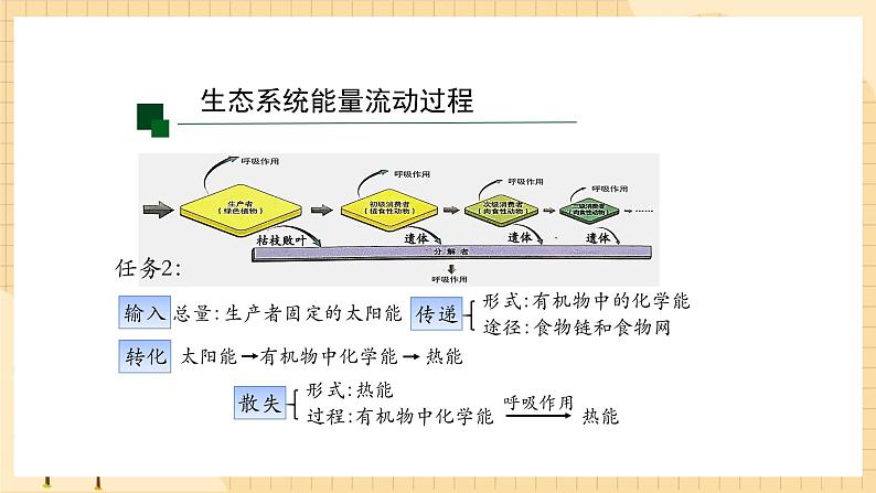 3.2 生态系统的能量流动（第一课时） 课件 人教版生物选择性必修207