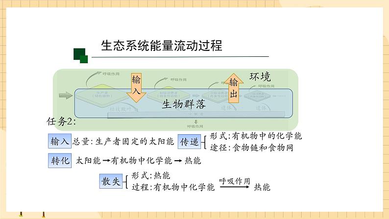 3.2 生态系统的能量流动（第一课时） 课件 人教版生物选择性必修208