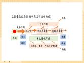 3.2 生态系统的能量流动（第二课时） 课件 人教版生物选择性必修2