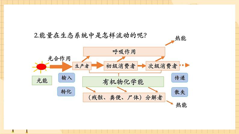 3.2 生态系统的能量流动（第二课时） 课件 人教版生物选择性必修203