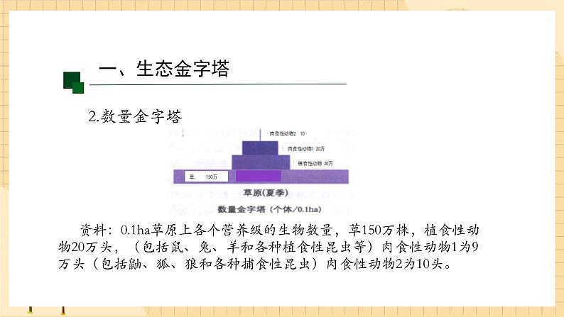 3.2 生态系统的能量流动（第二课时） 课件 人教版生物选择性必修207