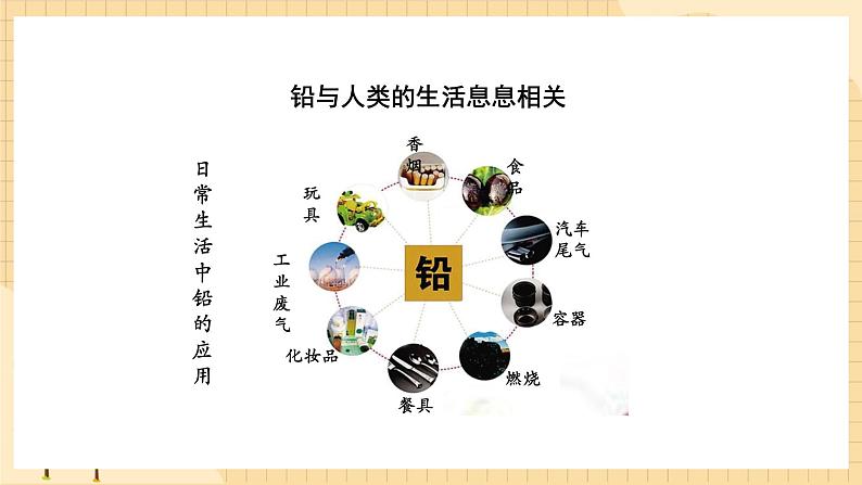 3.3 生态系统的物质循环（第二课时） 课件 人教版生物选择性必修202