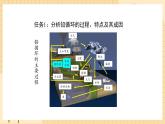 3.3 生态系统的物质循环（第二课时） 课件 人教版生物选择性必修2