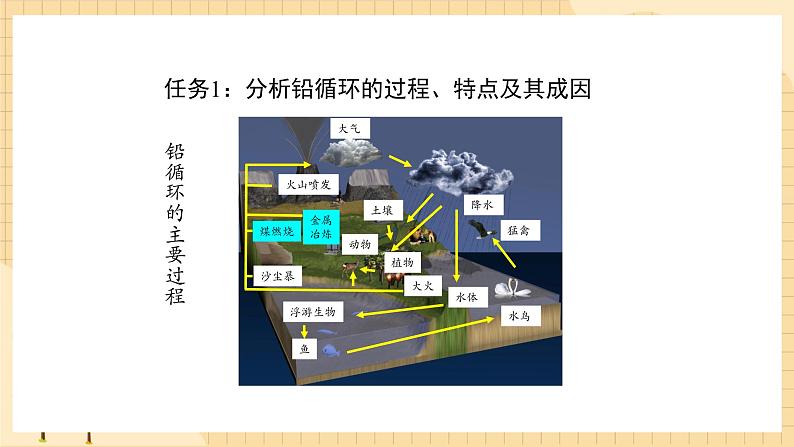 3.3 生态系统的物质循环（第二课时） 课件 人教版生物选择性必修204