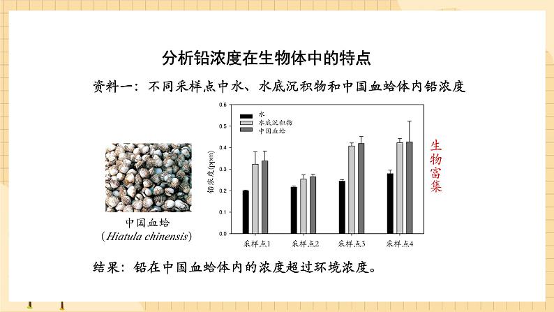 3.3 生态系统的物质循环（第二课时） 课件 人教版生物选择性必修205