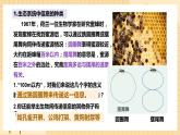 3.4 生态系统的信息传递  课件 人教版生物选择性必修2