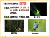 3.4 生态系统的信息传递  课件 人教版生物选择性必修2