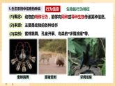 3.4 生态系统的信息传递  课件 人教版生物选择性必修2