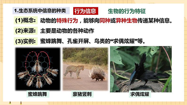 3.4 生态系统的信息传递  课件 人教版生物选择性必修205