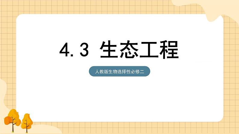 4.3 生态工程   课件 人教版生物选择性必修201