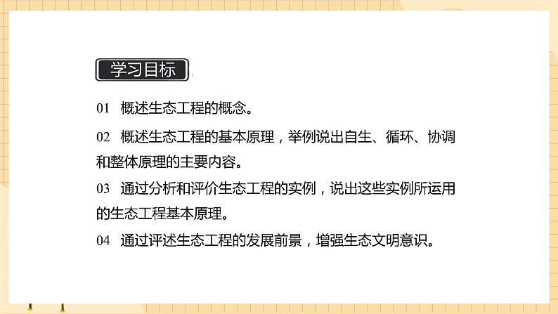 4.3 生态工程   课件 人教版生物选择性必修202