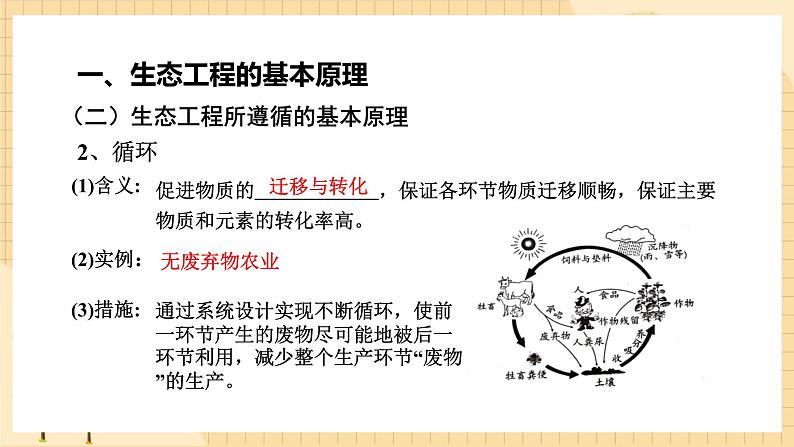 4.3 生态工程   课件 人教版生物选择性必修205