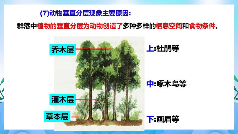 2.1群落的结构  课件 人教版生物选择性必修2（第2课时）  课件 人教版生物选择性必修206