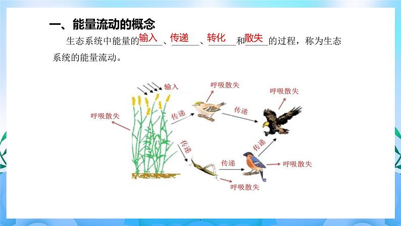 3.2生态系统的能量流动  课件 人教版生物选择性必修205