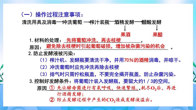 1.1传统发酵技术的应用 课件 人教版生物选择性必修304