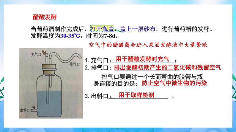 1.1传统发酵技术的应用 课件 人教版生物选择性必修305