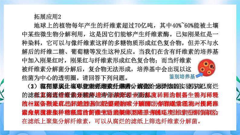 1.2微生物的培养技术及应用(第2课时） 课件 人教版生物选择性必修3第5页