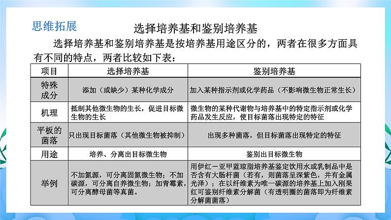 1.2微生物的培养技术及应用(第2课时） 课件 人教版生物选择性必修3第6页