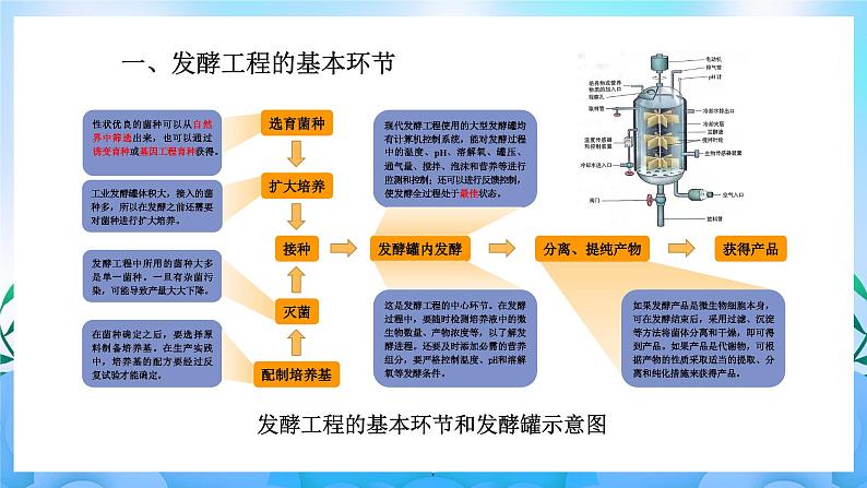 1.3发酵工程及其应用 课件 人教版生物选择性必修303