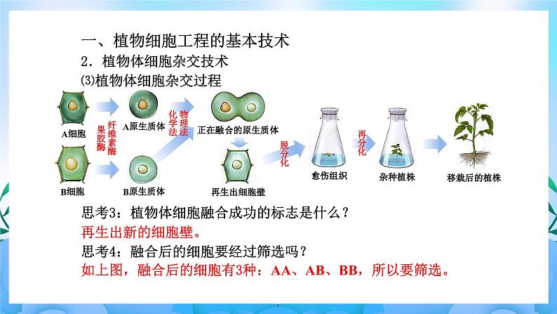 2.1 植物细胞工程 课件 人教版生物选择性必修306