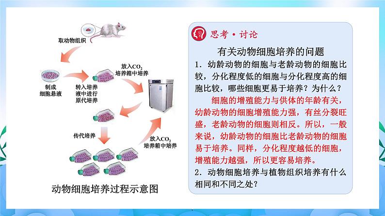 2.2动物细胞工程 课件 人教版生物选择性必修3第7页