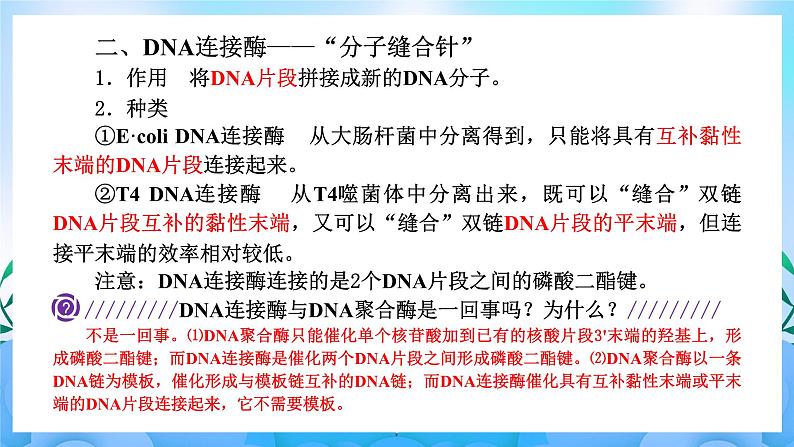 3.1重组DNA技术的基本工具 课件 人教版生物选择性必修306