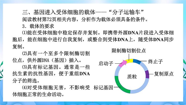 3.1重组DNA技术的基本工具 课件 人教版生物选择性必修308