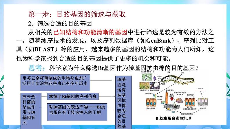 3.2基因工程的基本操作程序 课件 人教版生物选择性必修303