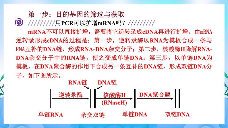 3.2基因工程的基本操作程序 课件 人教版生物选择性必修306