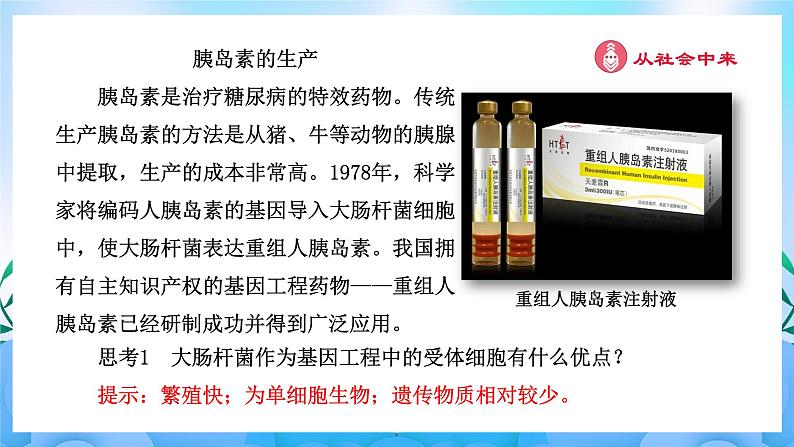 3.3基因工程的应用 课件 人教版生物选择性必修302