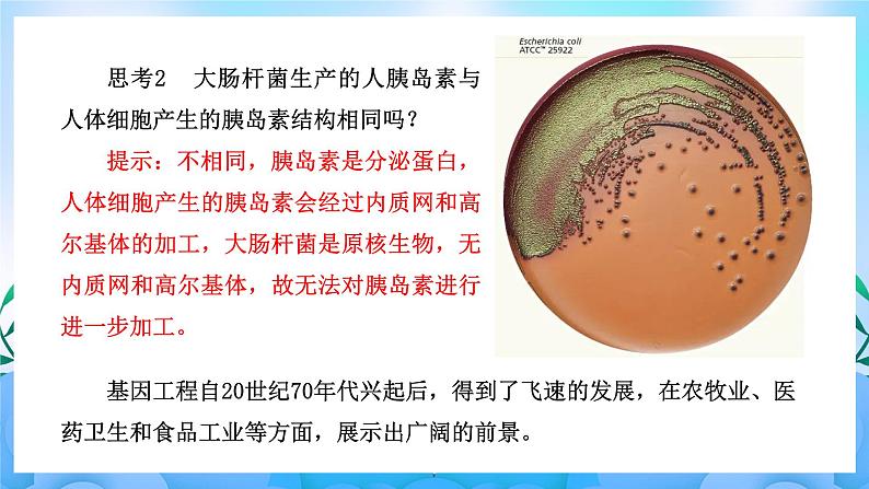 3.3基因工程的应用 课件 人教版生物选择性必修303