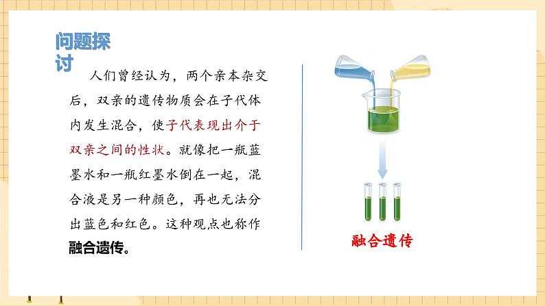 1.1孟德尔的豌豆杂交实验（一）（第一课时）  课件 新人教版生物必修203