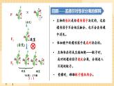 1.1孟德尔的豌豆杂交实验（一）（第二课时）  课件 新人教版生物必修2