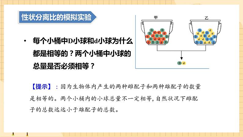 1.1孟德尔的豌豆杂交实验（一）（第二课时）  课件 新人教版生物必修2第6页