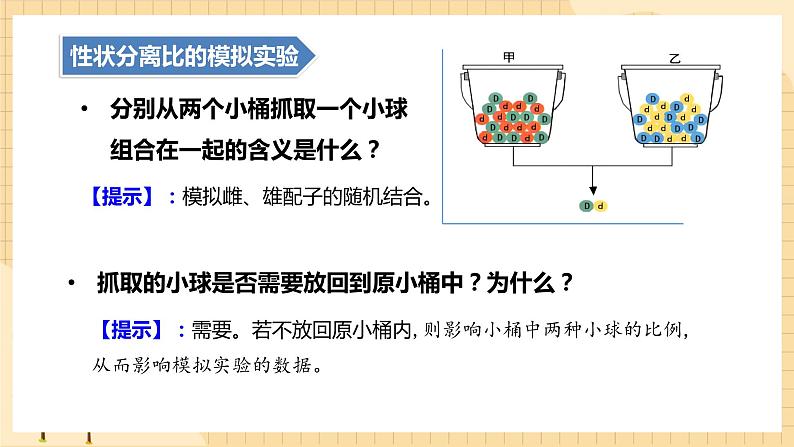 1.1孟德尔的豌豆杂交实验（一）（第二课时）  课件 新人教版生物必修2第7页