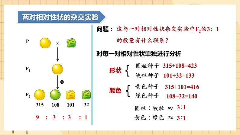 1.2孟德尔的豌豆杂交实验（二）（第一课时）  课件 新人教版生物必修207