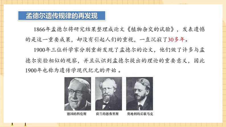 1.2孟德尔的豌豆杂交实验（二）（第二课时）  课件 新人教版生物必修2第6页