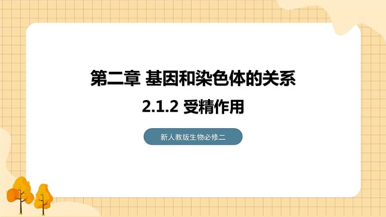 2.1减数分裂和受精作用（第二课时）  课件 新人教版生物必修201