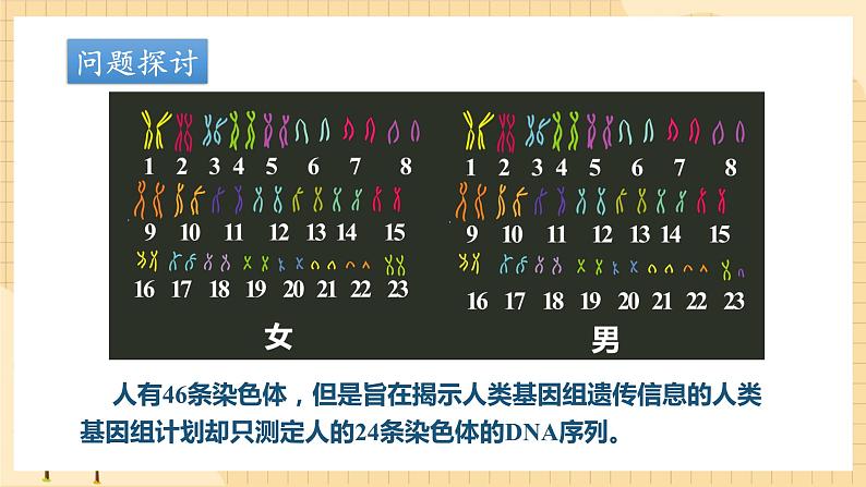 2.2基因在染色体上  课件 新人教版生物必修203