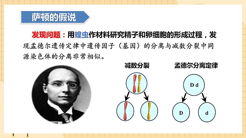 2.2基因在染色体上  课件 新人教版生物必修205