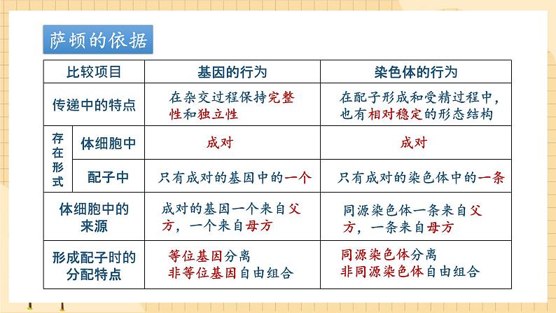 2.2基因在染色体上  课件 新人教版生物必修207