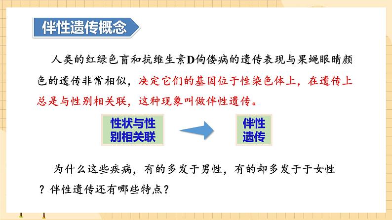 2.3伴性遗传（第一课时）  课件 新人教版生物必修205