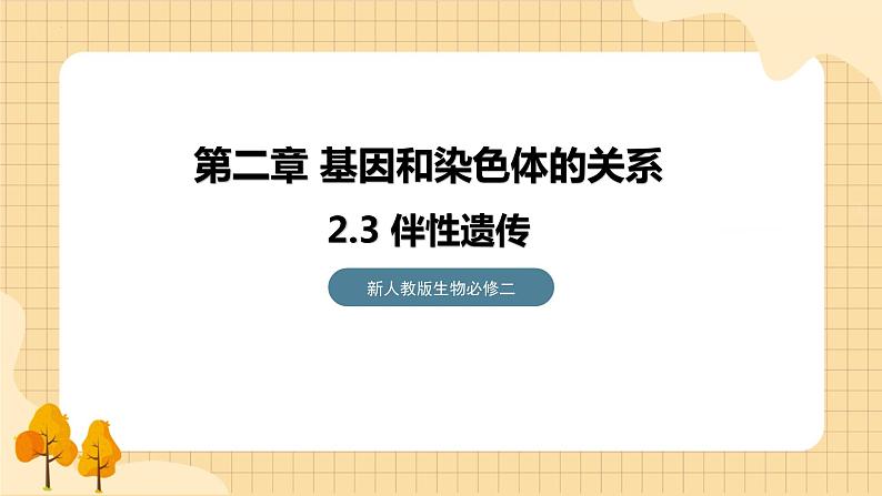 2.3伴性遗传（第二课时）  课件 新人教版生物必修201