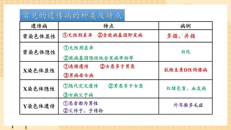 2.3伴性遗传（第二课时）  课件 新人教版生物必修203