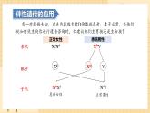 2.3伴性遗传（第二课时）  课件 新人教版生物必修2