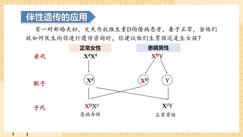 2.3伴性遗传（第二课时）  课件 新人教版生物必修204