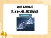 3.1DNA是主要的遗传物质(第二课时）  课件 新人教版生物必修2