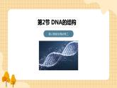 3.2DNA的结构  课件 新人教版生物必修2