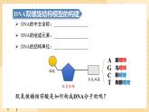 3.2DNA的结构  课件 新人教版生物必修2