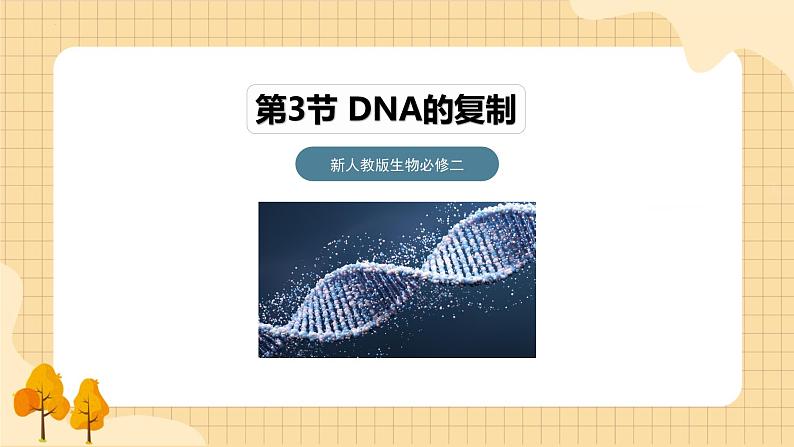 3.3DNA的复制  课件 新人教版生物必修201